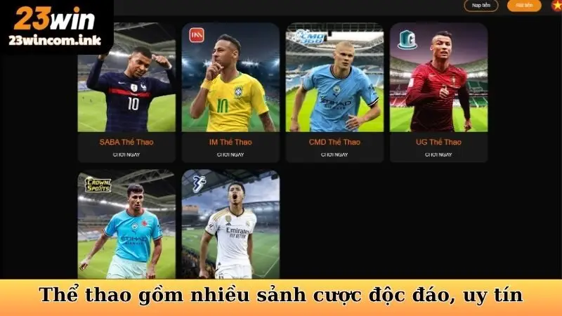 Thể thao gồm nhiều sảnh cược độc đáo, uy tín